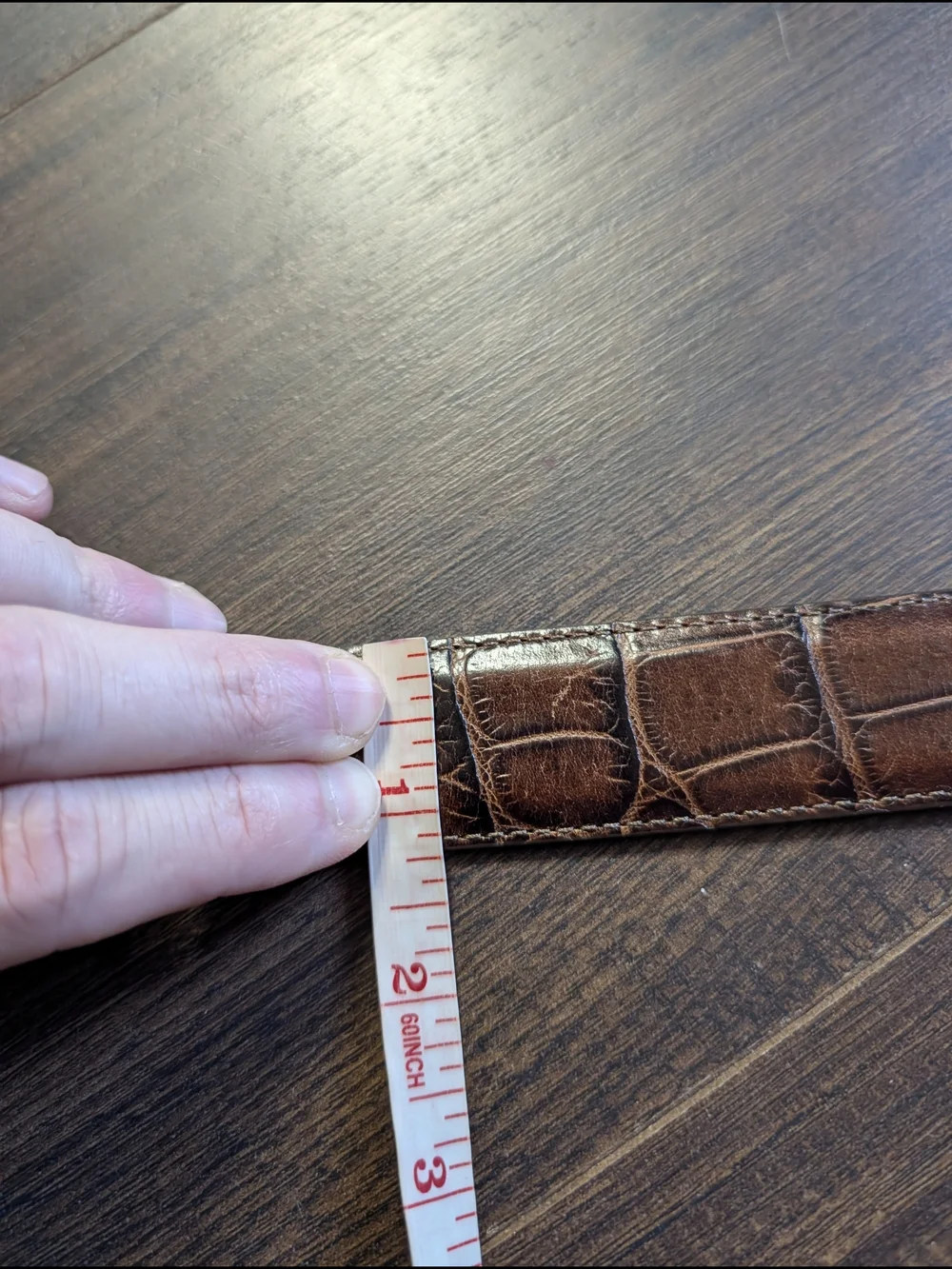 Onyx by Brighton Brown Alligator Leather Belt with Silver Buckle, Keeper And Tip